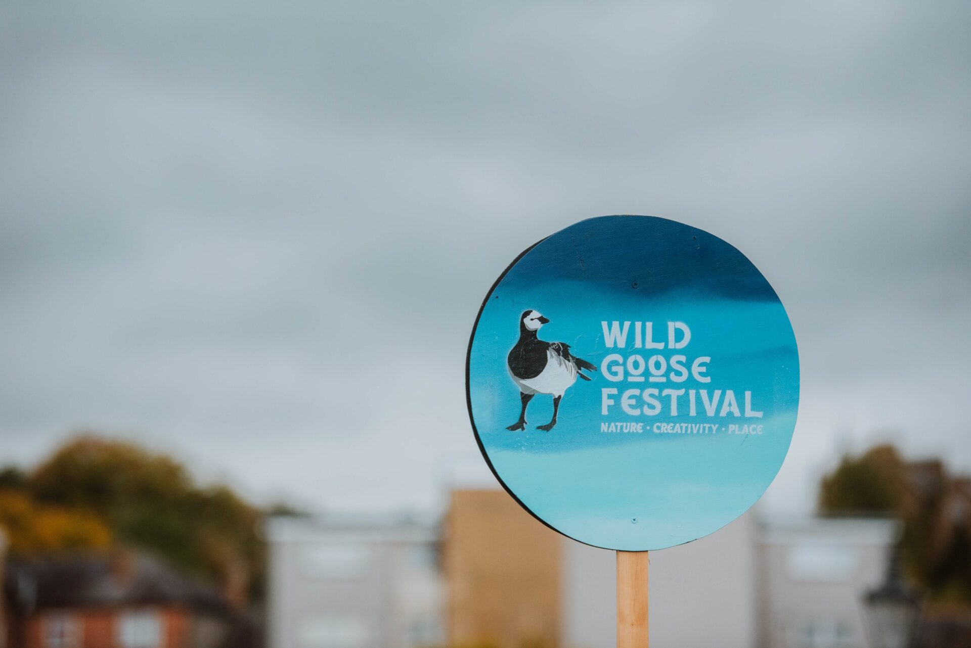 Home Wild Goose Festival