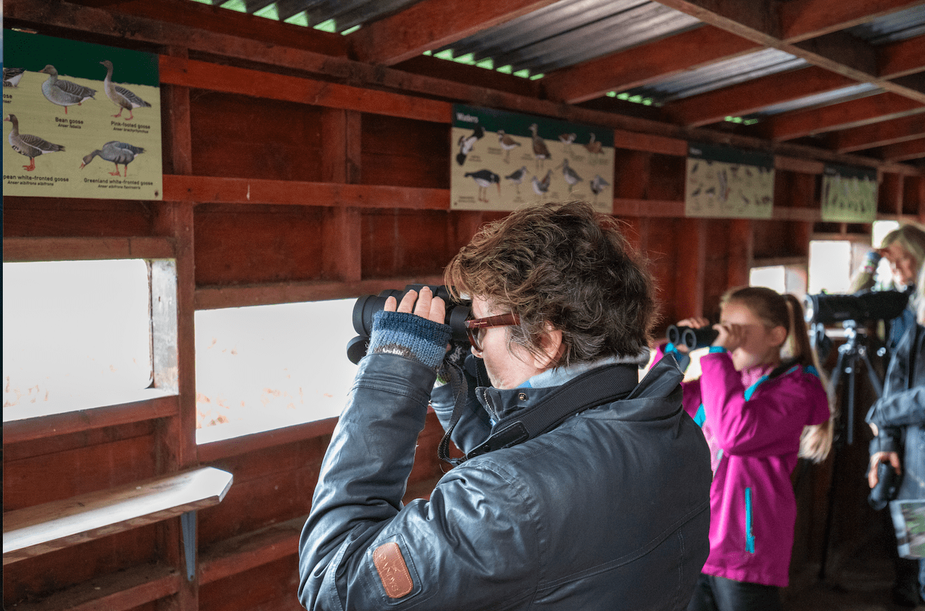 High Tide Birding