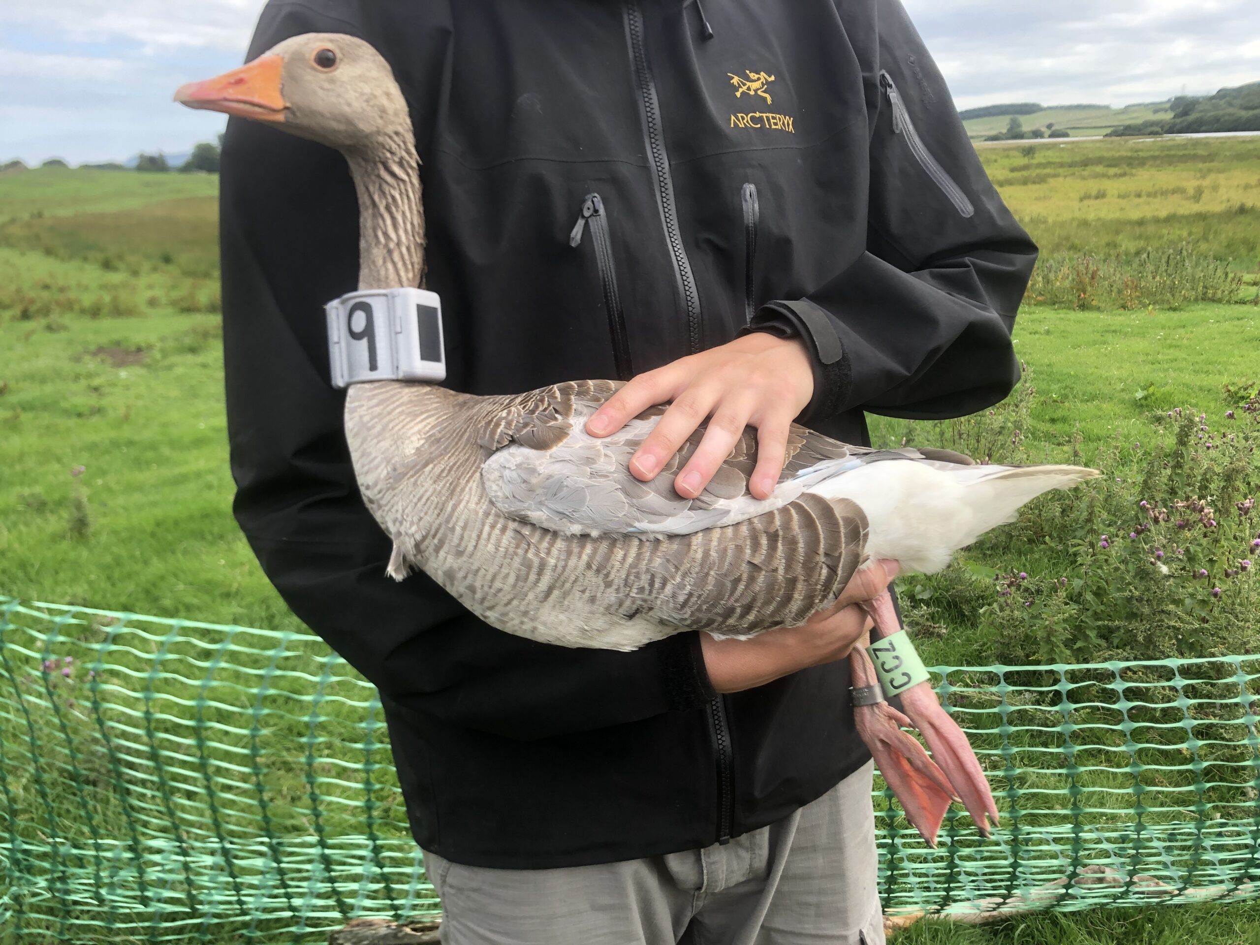 Connecting Habitats with Dr Larry Griffin