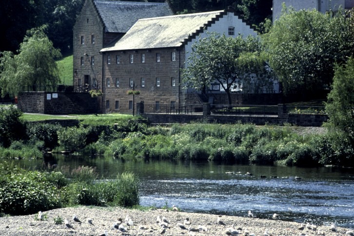 Watch wildlife at the Robert Burns Centre