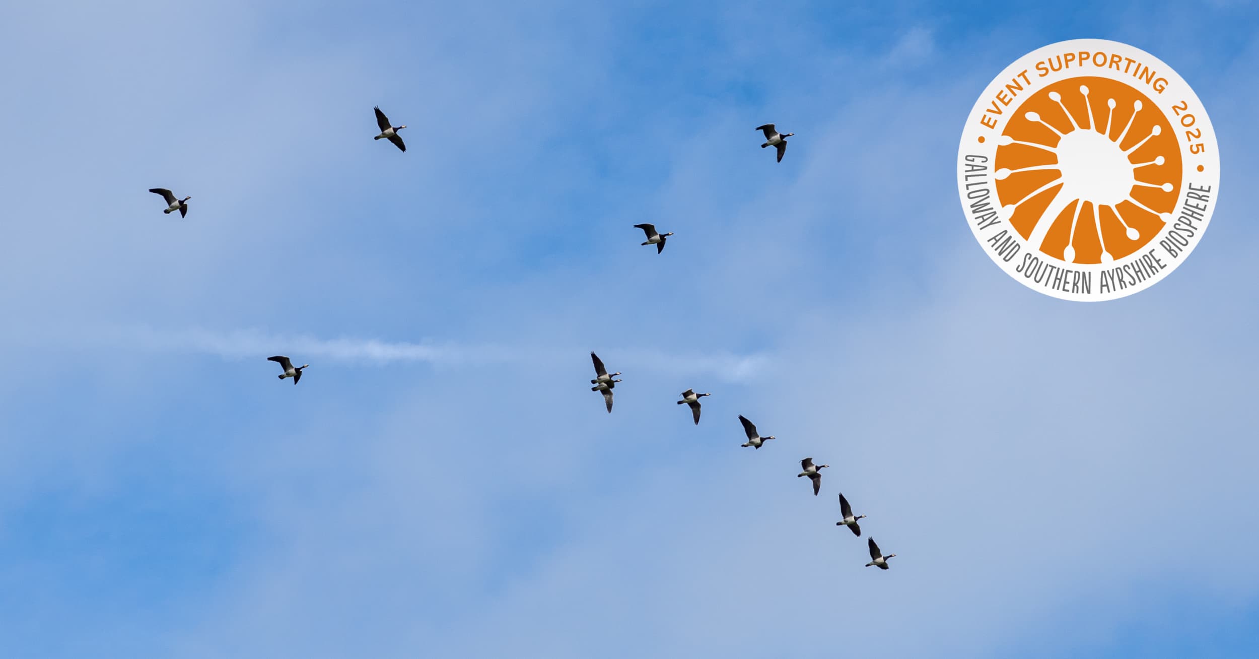 Wild Goose Festival: A Galloway & Southern Ayrshire UNESCO Biosphere Green Charter Designation 